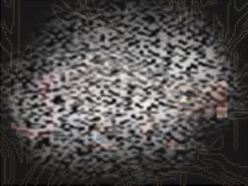 /uploadfile/2025/0410/20250410130209365.jpg