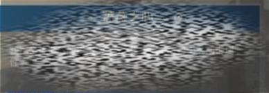 /uploadfile/2025/0415/20250415105843822.jpg